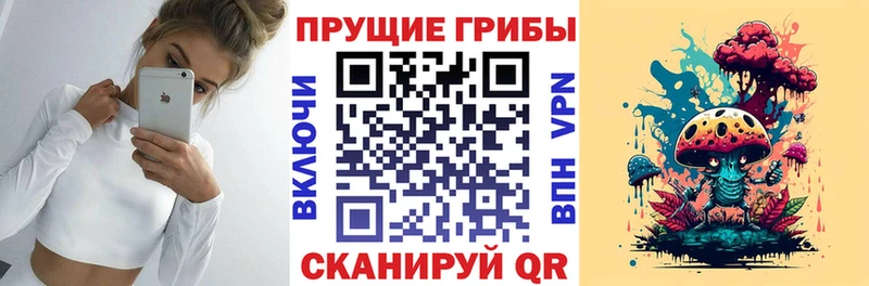 Купить закладки  Шарыпово  Галлюциногенные грибы MAGIC MUSHROOMS 